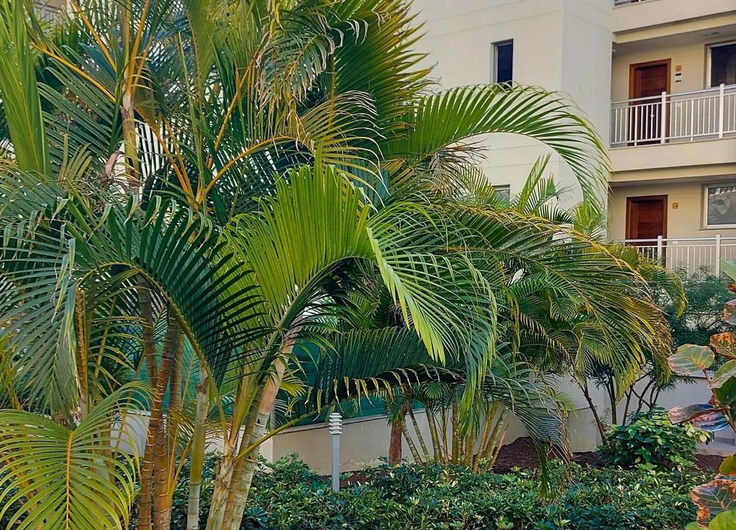 Sanremo Palm Mar Holidays 0*, Palm-mar Spanje